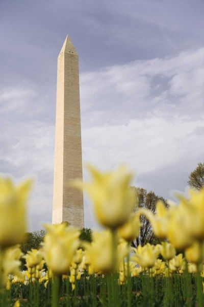 Washington DC, The Washington Monument